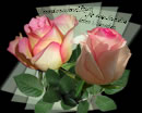 Besonders schöne Rosen für einen besonders lieben Menschen