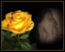 Diese Rose ist das Letzte was Du von mir bekommst...ich hab genug von Dir. Leb wohl!